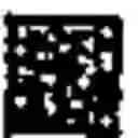 Fig. 901 - METABOLIC ENGINEERING FOR IMPROVED XYLOSE UTILISATION OF SACCHAROMYCES CEREVISIAE