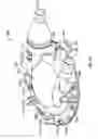 Fig. 18 - Method of timing pulsatile flow of normothermic perfusate to the heart