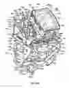 Fig. 49 - Method of timing pulsatile flow of normothermic perfusate to the heart