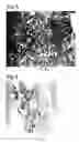 Fig. 06 - COMPOSITE BODY OF INORGANIC COMPOUND AND CELLS AND PRODUCTION METHOD THEREOF