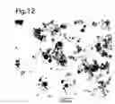 Fig. 08 - COMPOSITE BODY OF INORGANIC COMPOUND AND CELLS AND PRODUCTION METHOD THEREOF