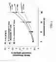 Fig. 04 - Myogenic Development and Protection of Stem Cells Against Inflammation and Apoptosis By Statins and Isoprenoid Pathway Inhibitors