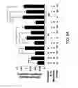 Fig. 08 - Myogenic Development and Protection of Stem Cells Against Inflammation and Apoptosis By Statins and Isoprenoid Pathway Inhibitors