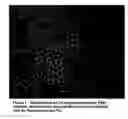 Fig. 02 - Device and method for isolating cells, bioparticles and/or molecules from liquids
