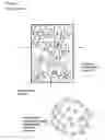 Fig. 09 - Device and method for isolating cells, bioparticles and/or molecules from liquids