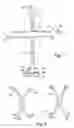 Fig. 02 - Biomolecular devices
