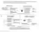 Fig. 20 - Method for analyzing N-terminal protein adducts