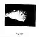Fig. 14 - Cleaning sheets comprising a polymeric additive to improve particulate pick-up minimize residue left on surfaces and cleaning implements for use with cleaning sheets