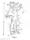 Fig. 02 - Animal replica