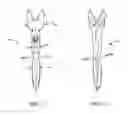 Fig. 10 - Animal replica