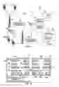 Fig. 02 - Wireless unit status notification system for communication network