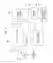 Fig. 06 - Semiconductor integrated circuit and semiconductor integrated circuit for radio communication