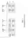 Fig. 02 - Method and apparatus for transmitting and receiving common channel in a cellular wireless communication system supporting scalable bandwidth