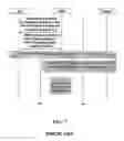 Fig. 07 - MBMS dual receiver