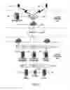 Fig. 03 - Mobile micro-band information distribution