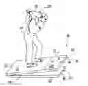 Fig. 01 - Golf swing training apparatus