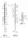 Fig. 04 - Lacrosse pocket having shooting string guide tubes between the runners
