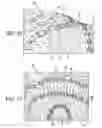 Fig. 11 - Lacrosse pocket having shooting string guide tubes between the runners