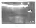 Fig. 04 - RACQUET SPORT APPARATUS & METHOD