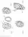 Fig. 04 - Device for coupling pulleys or gear wheels