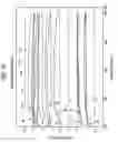Fig. 04 - Ceramic optical parts and production methods thereof