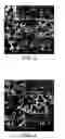 Fig. 03 - Method of manufacturing a catalysed ceramic wall-flow filter