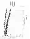 Fig. 02 - Reforming catalyst with chelated promoter