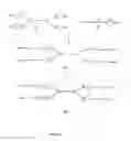 Fig. 24 - Valency platform molecules comprising aminooxy groups