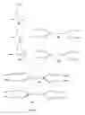 Fig. 25 - Valency platform molecules comprising aminooxy groups