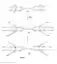 Fig. 28 - Valency platform molecules comprising aminooxy groups