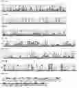 Fig. 16 - Proteinaceous pharmaceuticals and uses thereof