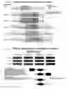 Fig. 26 - Proteinaceous pharmaceuticals and uses thereof