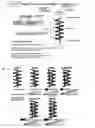 Fig. 27 - Proteinaceous pharmaceuticals and uses thereof