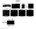 Fig. 03 - Modulation of angiogenesis
