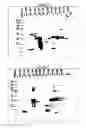 Fig. 06 - Modulation of angiogenesis