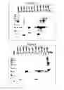 Fig. 07 - Modulation of angiogenesis