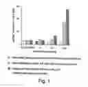 Fig. 02 - Active hedgehog protein conjugate