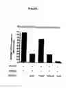 Fig. 02 - Methods for inhibiting osteoclast differentiation, formation, or function and for increasing bone mass