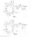 Fig. 02 - High purity lipopeptides