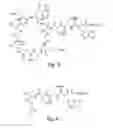 Fig. 04 - High purity lipopeptides