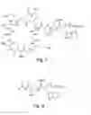 Fig. 05 - High purity lipopeptides