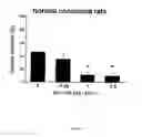 Fig. 02 - Method of stimulating the motility of the gastrointestinal system using growth hormone secretagogues