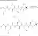 Fig. 28 - Compounds for enzyme inhibition