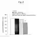 Fig. 03 - D-ribose for improving depression-like symptoms