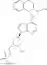 Fig. 101 - Inhibitors of E1 activating enzymes