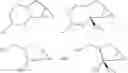 Fig. 152 - Inhibitors of E1 activating enzymes
