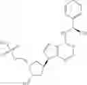 Fig. 23 - Inhibitors of E1 activating enzymes