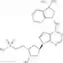Fig. 30 - Inhibitors of E1 activating enzymes