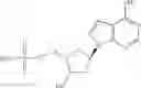 Fig. 34 - Inhibitors of E1 activating enzymes
