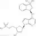 Fig. 37 - Inhibitors of E1 activating enzymes